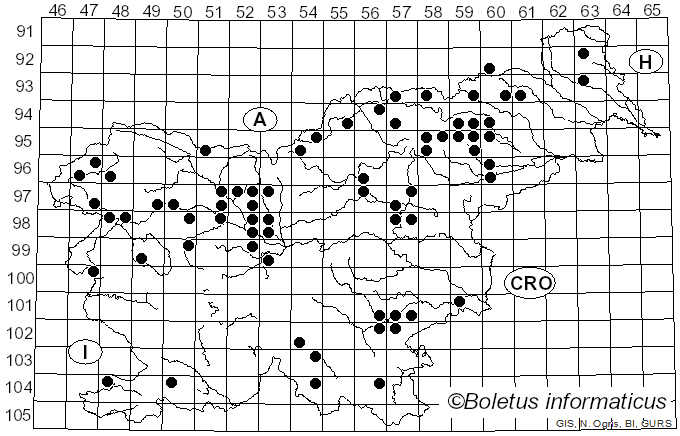 <i>Phylloporus</i> Quél. (1888)