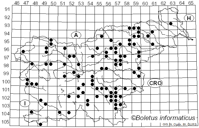 <i>Cortinarius hinnuleus</i> Fr. (1838)