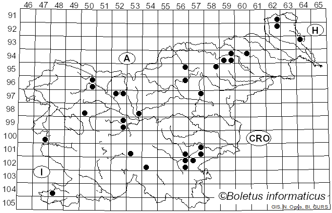 <i>Nyctalis</i> Fr. (1825)