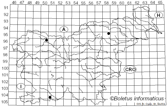 <i>Anthostoma turgidum</i> (Pers.) Nitschke (1867)