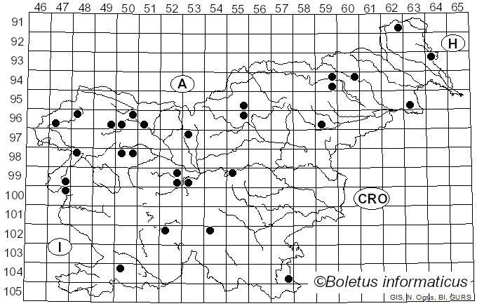 <i>Diatrypella favacea</i> (Fr.) Ces. & De Not. (1863)