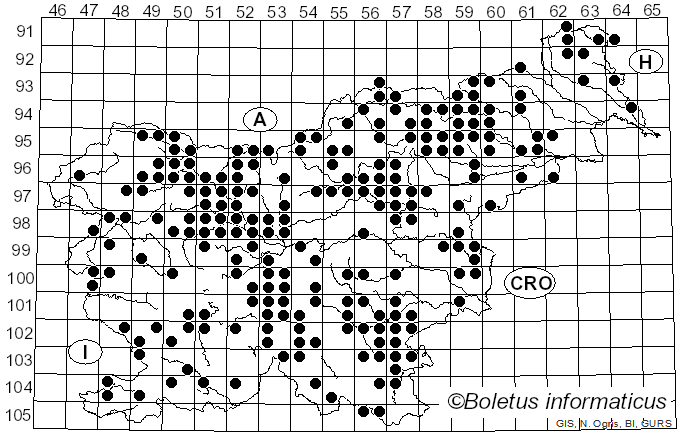 <i>Lactarius deterrimus</i> Gröger (1968)