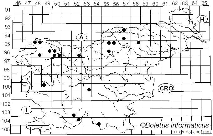 <i>Chaenotheca ferruginea</i> (Turner ex Sm.) Mig. (1930)