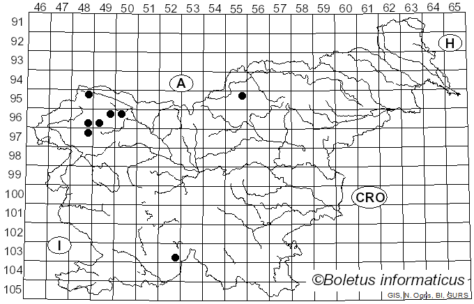 <i>Rinodina capensis</i> Hampe