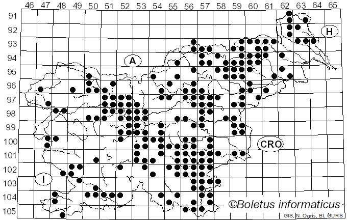 <i>Russula rosea</i> Pers. (1796)