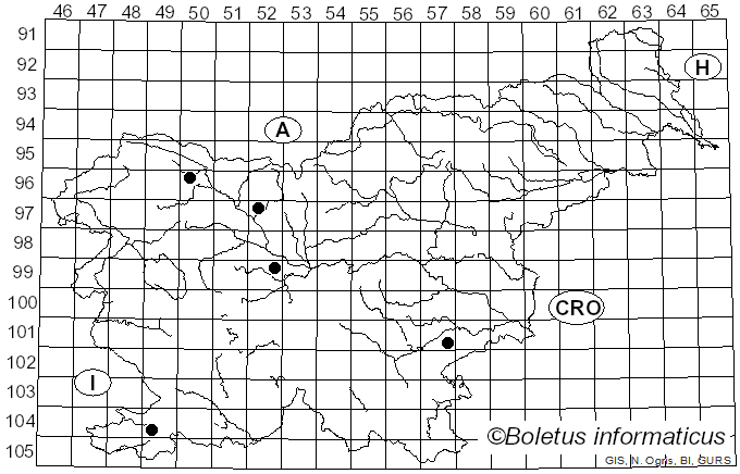 <i>Tarzetta cupularis</i> (L.) Svrcek (1981)