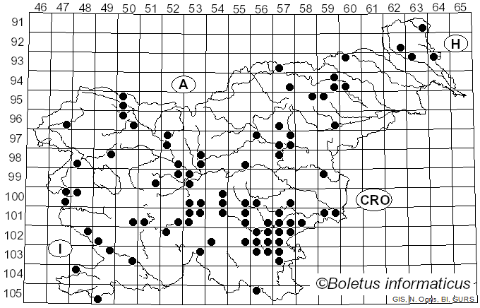 <i>Amanita franchetii</i> (Boud.) Fayod