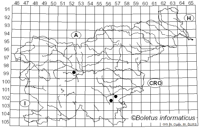 <i>Rhodocollybia filamentosa</i> (Velen.) Antonín (1986)
