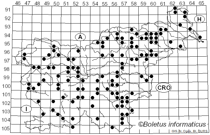 <i>Xylaria longipes</i> Nitschke (1867)