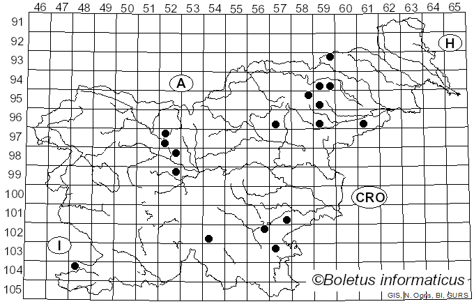 <i>Russula alnetorum</i> Romagn. (1956)