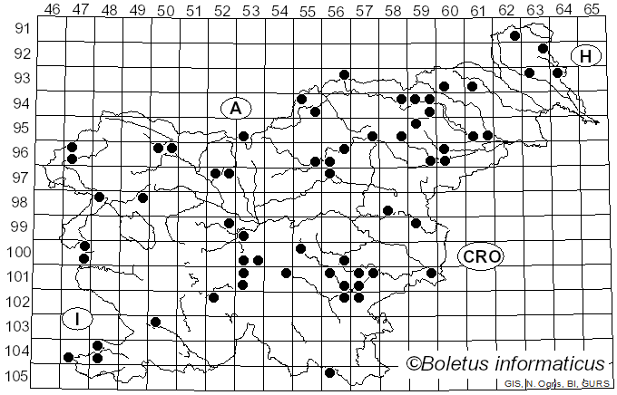 <i>Inonotus hispidus</i> (Bull.) P. Karst. (1879)