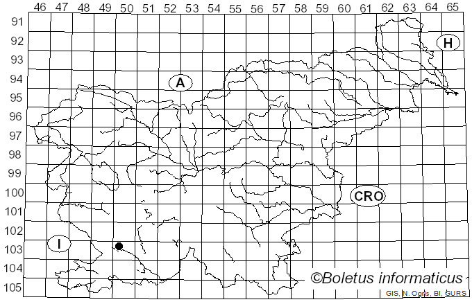 <i>Hymenagaricus alphitochrous</i> (Berk. & Broome) Heinem. (1981)