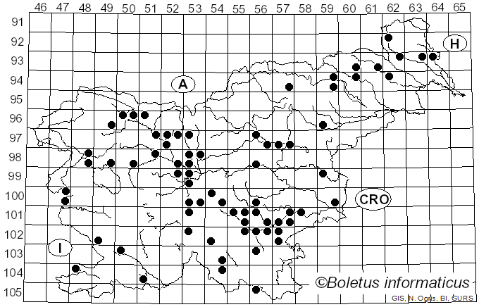 <i>Bulgaria inquinans</i> (Pers.) Fr. (1822)