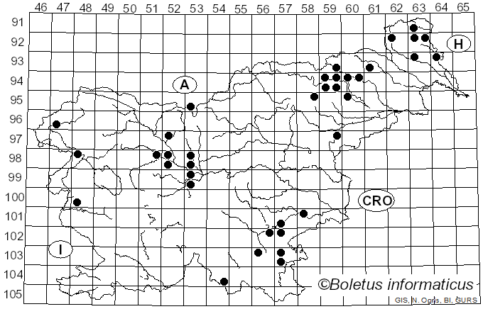 <i>Bjerkandera fumosa</i> (Pers.) P. Karst. (1880)