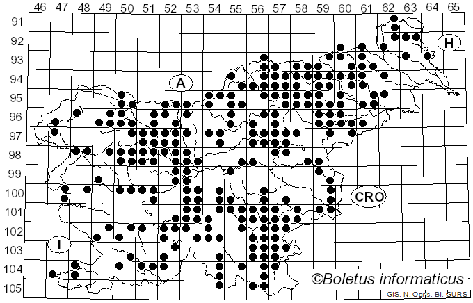 <i>Calocera viscosa</i> (Pers.) Fr. (1821)