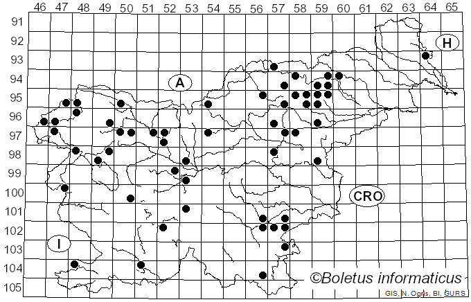 <i>Aureonarius callisteus</i> (Fr.) Niskanen & Liimat. (2022)