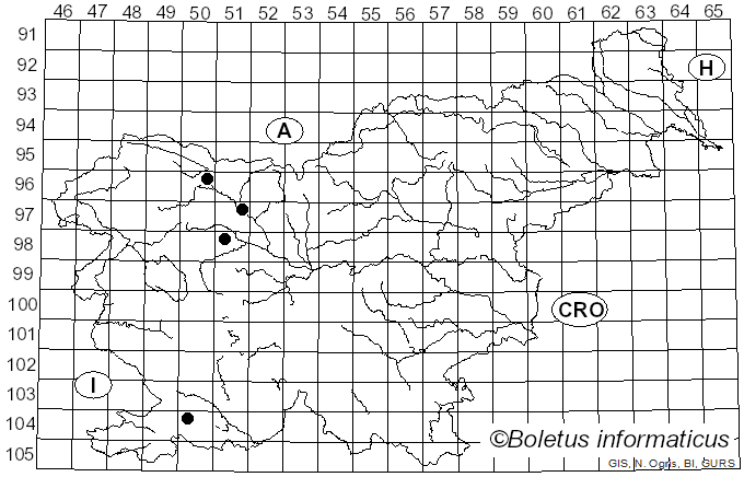 <i>Henningsomyces candidus</i> (Pers.) Kuntze (1898)