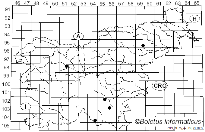 <i>Phaeotremella simplex</i> (H.S. Jacks. & G.W. Martin) Millanes & Wedin (2015)