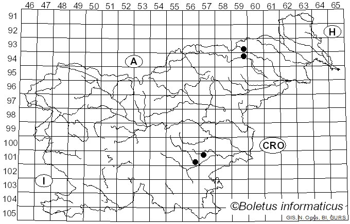<i>Xerocomus quercinus</i> H. Engel & T. Brückn. (1996)