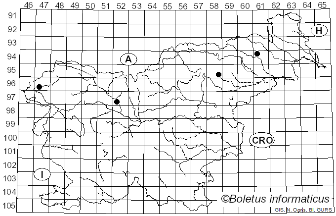<i>Leucocybe candicans</i> (Pers.) Vizzini, P. Alvarado, G. Moreno & Consiglio (2015)