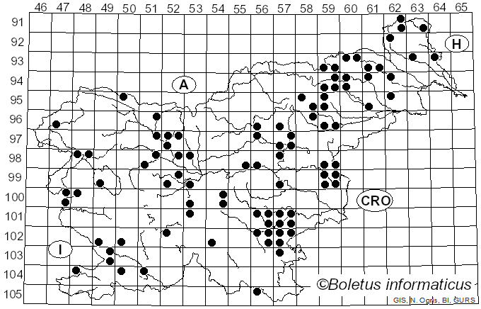 <i>Cortinarius torvus</i> (Fr.) Fr. (1838)