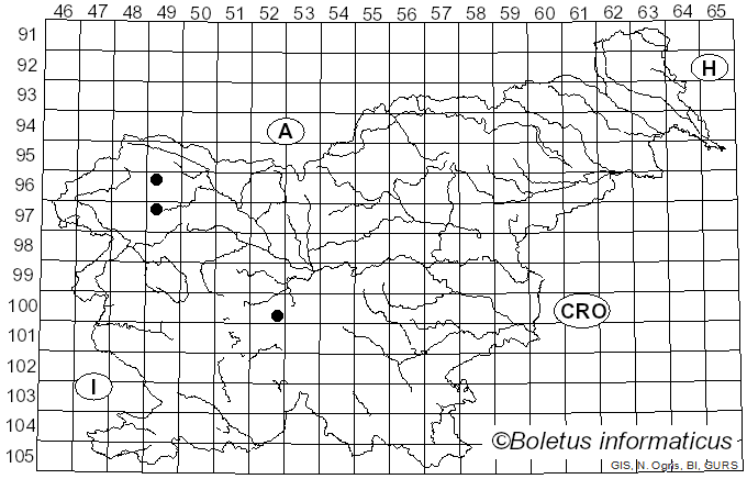 <i>Cheilosia albipila</i> Meigen