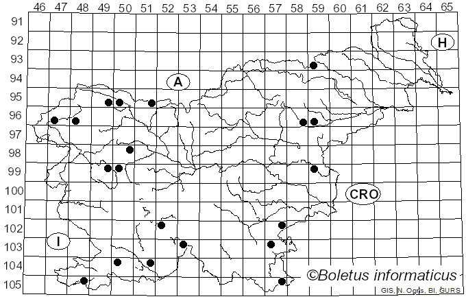 <i>Bovistella</i> Morgan (1892)
