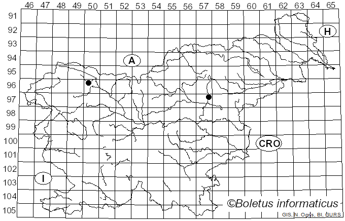 <i>Cytidia</i> Quél. (1888)