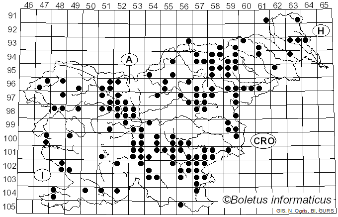 <i>Entoloma rhodopolium</i> (Fr.) P. Kumm. (1871)