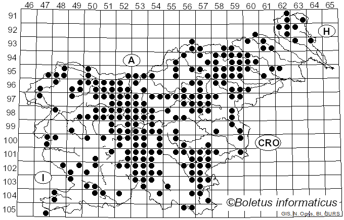 <i>Gomphidius</i> Fr. (1836)