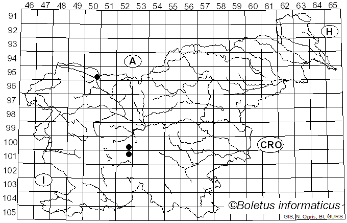 <i>Lecythophora hoffmannii</i> (J.F.H. Beyma) W. Gams & McGinnis (1983)