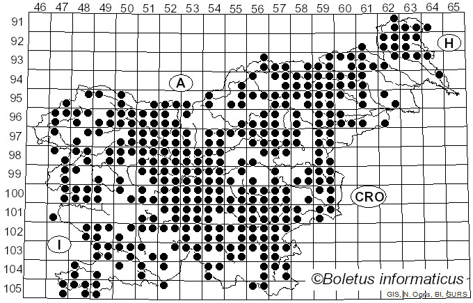 <i>Hygrophorus</i> Fr. (1836)