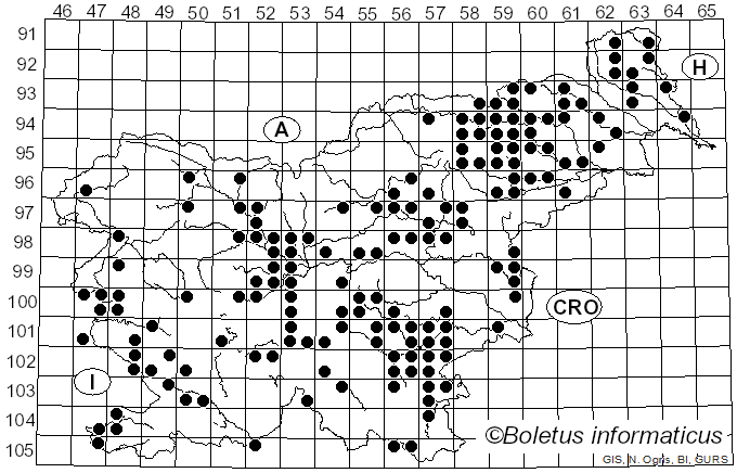<i>Leucoagaricus</i> Locq. ex Singer (1948)