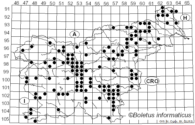 <i>Rhodocollybia butyracea</i> (Bull.) Lennox (1979)