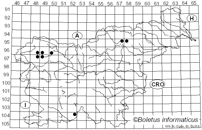 <i>Xylographa parallela</i> (Ach.) Fr. (1849)