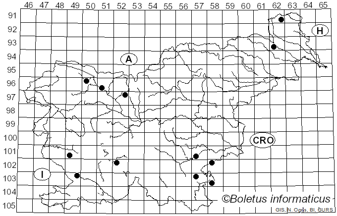 <i>Dendrothele</i> Höhn. & Litsch. (1907)