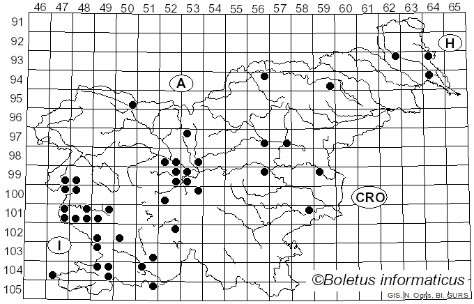 <i>Diplodia</i> Fr. (1834)