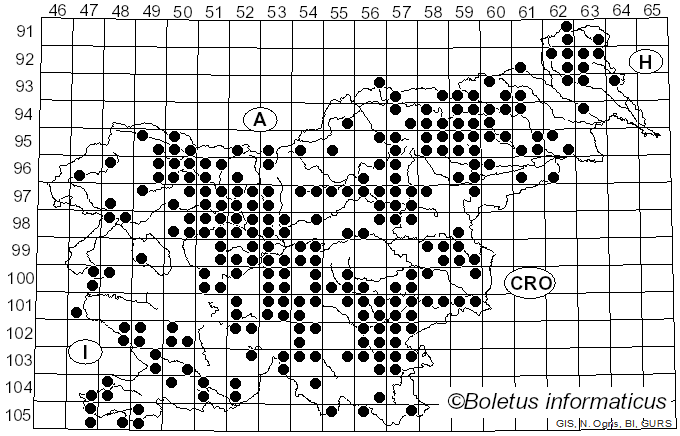 <i>Lyophyllum</i> P. Karst. (1881)