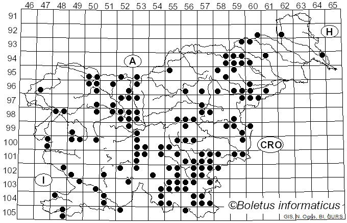 <i>Mycena renati</i> Quél. (1886)