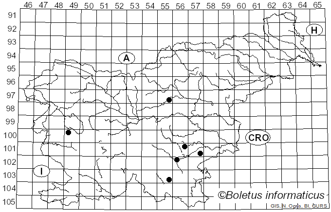 <i>Pseudoplectania vogesiaca</i> (Pers.) Seaver (1928)