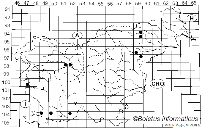 <i>Entoloma hebes</i> (Romagn.) Trimbach (1981)