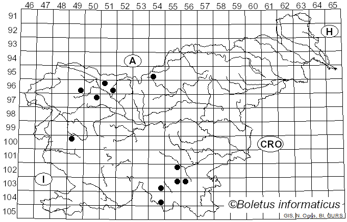 <i>Lachnellula subtilissima</i> (Cooke) Dennis (1962)
