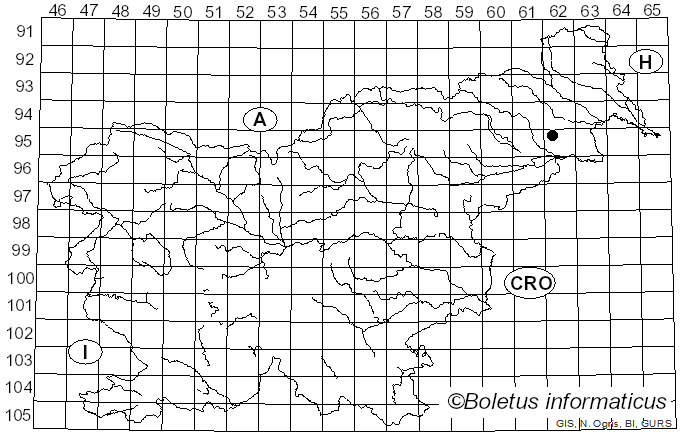 <i>Phyllotopsis rhodophyllus</i> (Bres.) Singer (1936)
