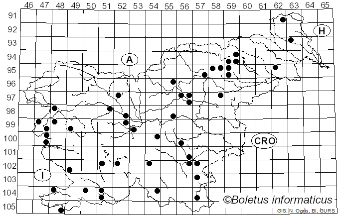 <i>Lactarius controversus</i> (Pers.) Fr. (1799)