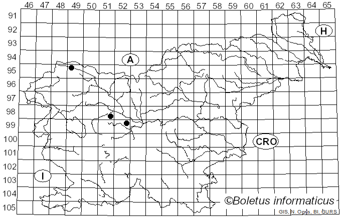 <i>Vibrissea flavovirens</i> (Pers.) Korf & J.R. Dixon (1974)