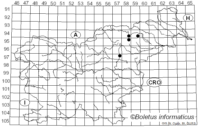 <i>Calonarius alnobetulae</i> (Kühner) Niskanen & Liimat. (2022)