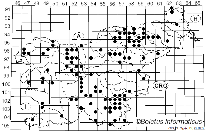 <i>Tricholomopsis decora</i> (Fr.) Singer (1939)