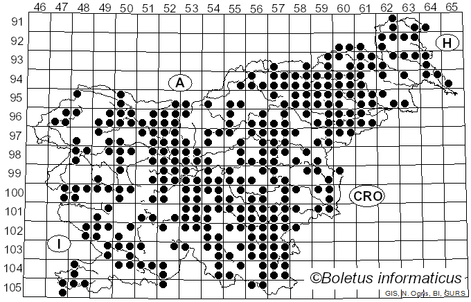 <i>Pluteus</i> Fr. (1836)