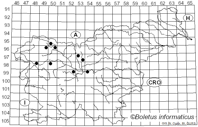 <i>Cucurbitaria berberidis</i> (Pers.) Grev. (1821)