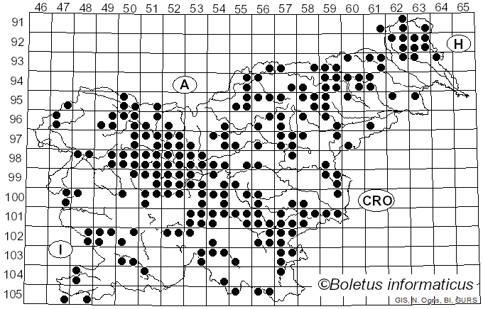 <i>Tricholoma saponaceum</i> (Fr.) P. Kumm. (1871)
